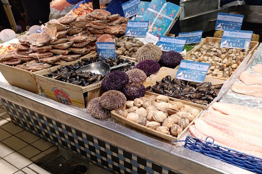 guida italiana francia