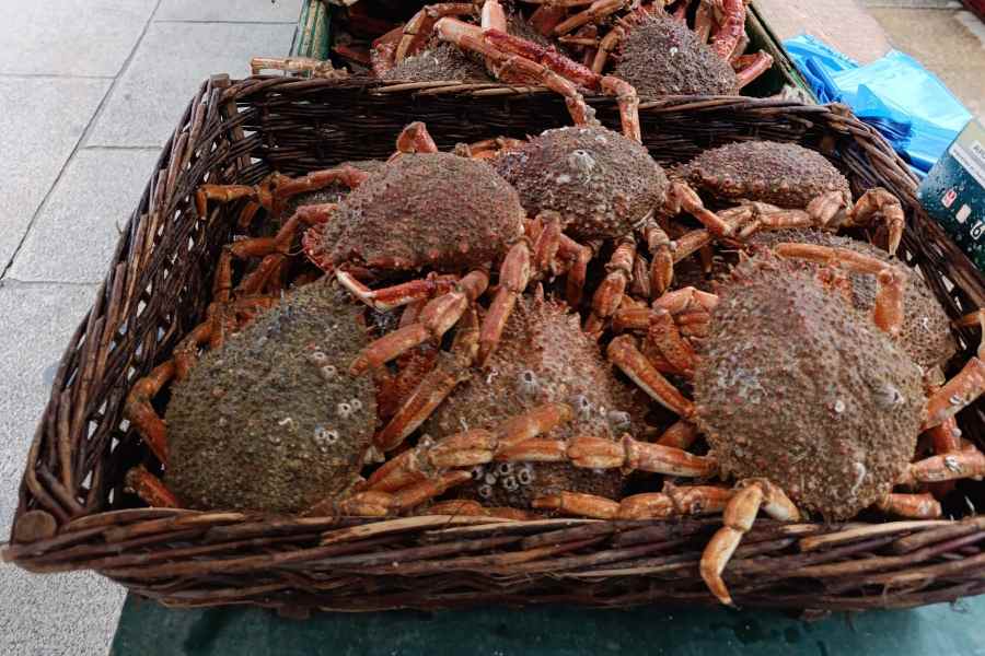 guida italiana in francia