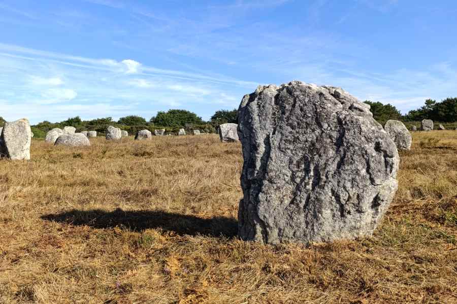 guida italiana in francia