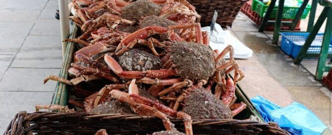 guida italiana in francia