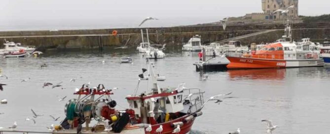 Guida italiana in normandia